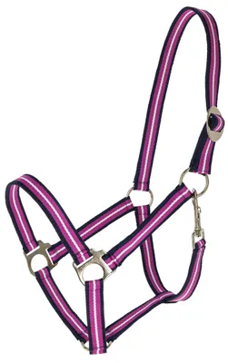 Produktbild von Covalliero Halfter Hippo dark navy/light berry FS 2026, Größe:Cob