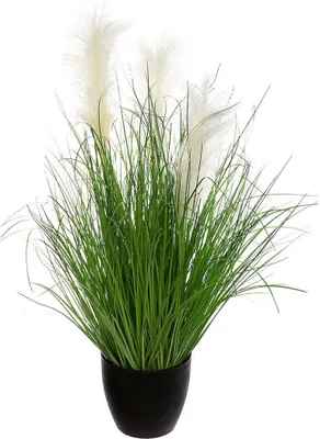 Zdjęcie produktu dla Sztuczna trawa w doniczce - H70 cm - Atmosphera créateur d'intérieur