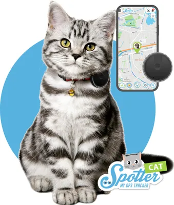 Produktbild von Pet Spotter | Der kleinste Katzen-GPS-Tracker | Zur Befestigung am Halsband | Aktivitätentracker | Ohne Abonnement