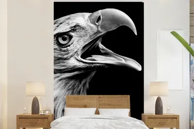Produktbild von MuchoWow® Fototapete für Wohnzimmer oder Schlafzimmer Wandtapete Vinyl Motivtapete Adler - Porträt - Raubvögel - Schwarz - Weiß - Vogel - 170x260 cm - Wohnzimmertapete