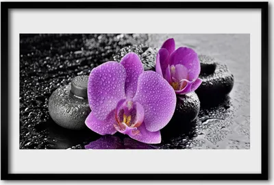 Produktbild von Bild 60x40 MDF-Rahmen Wandkunst Orchideen-Blumen Orchid Spa