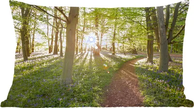 Produktbild von MuchoWow® Zierkissen Sofakissen Wohnzimmer Dekokissen 60x40 cm Wald - Baum - Sonne - Kopfkissen - Polster mit Foto