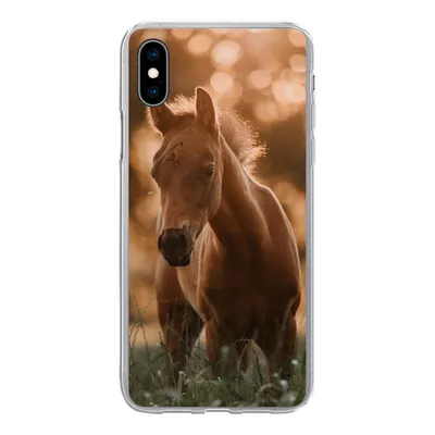 Produktbild von MuchoWow® Handyhülle Schutzhülle Hülle für iPhone Xs Pferd - Licht - Landschaft Silikon Softcase Handy Hülle - Handytasche