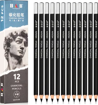 Obrázek produktu pro Uhlíkové tužky velká sada 12 kusů MEDIUM - ideální pro umělce.