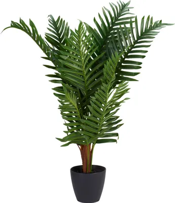 Produktbild von Künstliche Palme NOVA, Ø 50 x 85 cm