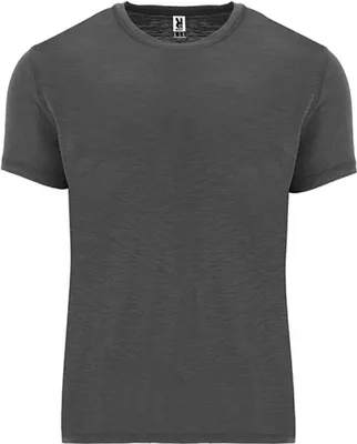 Produktbild von Roly CA0396 | Herren Shirt Terrier T-Shirt - Farbe: Ebony 231 - Größe: S