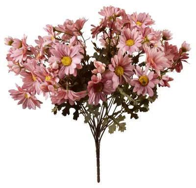 Imagen del producto de Flor artificial de plástico Viridis Margaretki, 45 cm, color blanco, 1 unidad