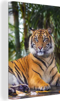 Produktbild von OneMillionCanvasses® - Leinwandbilder - 90x140 cm, Tiger - Tiere - Wald - Dschungel, Wandbilder Kunstdruck Wanddekoration - Foto auf Leinwand - Gemälde auf Holzrahmen  - Wandschmucke - Schlafzimmer
