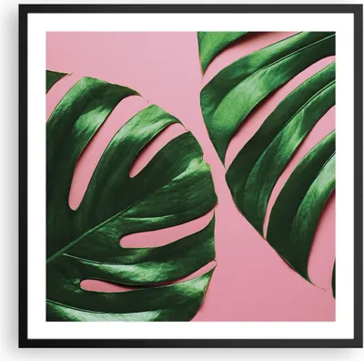 Produktbild von Gerahmtes Poster - Schwarzer Rahmen - Monstera Blatt Rosa - 60x60 cm - Wand Bild - Wanddeko - Wandbilder - Kunstposter - Wandposter - Bilderrahmen - Bilder - Kunstdruck - P2BAC60x60-4407