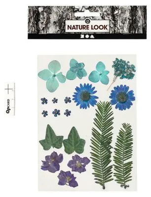Produktbild von Blüten und Blätter blau gepresst, Creativ Company