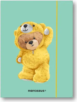 Obrázok produktu pre Teczka A4+ z gumką Teddies&Miś do przechowywania dokumentów