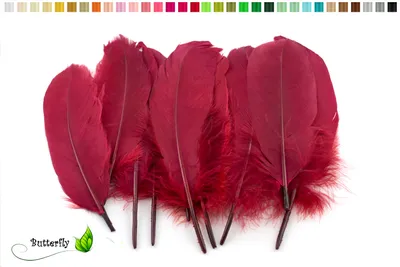 Produktbild von 10 Gänsefedern 15-20cm, Farbauswahl:weinrot / bordeaux 270
