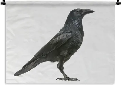 Produktbild von MuchoWow® Wandteppich Wandbehang Krähe - Vogel - Schwarz - Weiß 60x45 cm Tapisserie Dekoration Wandtuch - Das Schlafzimmer