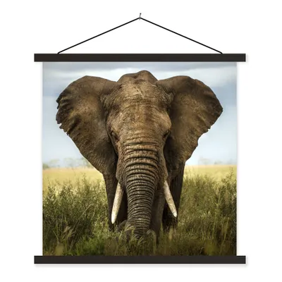 Produktbild von MuchoWow® Textilposter Elefant - Natur - Gras - Tiere - Landschaft 120x120 cm mit schwarzem Rahmen - Aufhängungsset