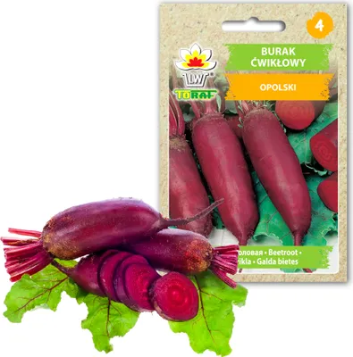 Obrázok produktu pre Toraf zeleninové semená červenej repy podlhovasté, balenie 10g