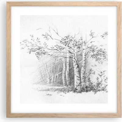 Produktbild von Gerahmtes Poster - Rahmen in heller Eiche - Skizze Wald Birke - 40x40 cm - Wand Bild - Wanddeko - Wandbilder - Wandposter - Bilderrahmen - Bilder - Kunstdruck - Wandbild - P2NAC40x40-4280