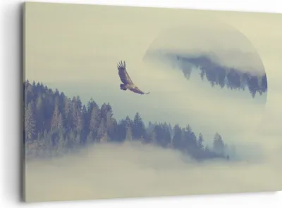 Produktbild von Bild auf Leinwand - Leinwandbild - Vogel Natur Wald - 100x70cm - Wand Bild - Wanddeko - Wandbilder - Leinwanddruck - Bilder - Kunstdruck - Wanddekoration - Leinwand bilder - Wandkunst - AA100x70-3853