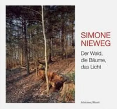 Immagine prodotto di Der Wald, die Bäume, das Licht