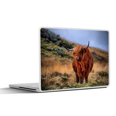 Produktbild von MuchoWow® Laptop Aufkleber Sticker Cover Schottische Highlander - Gras - Steine 36.5x27.5 cm - Laptop-Sticker