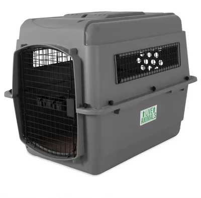 Immagine prodotto di Beeztees 715565, trasportino per cani modello Skykennel n. 3, dimensioni 81 x 57 x 60 cm, colore grigio