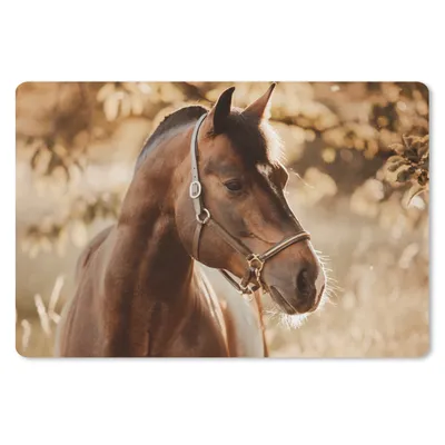 Produktbild von MuchoWow® Mauspad Mousepad Pferd - Sonne - Porträt - Natur - Braun 27x18 cm - Mousepads - Maus Mat - Pad - Mausunterlage - Büroartikel - Desk Matten
