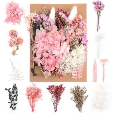 Produktbild von Getrocknetes Blumenarr-Sets für kreative Kunstprojekte und Raumgestaltung
