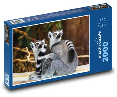 Obrázek produktu pro martinpuzzle - Puzzle 2000 - Dva lemuři v přírodě