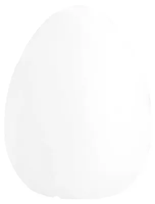 Imagen del producto de Lámpara LED solar Ecolite, 5 V DC, regulable, 1,2 Ah, 40 lúmenes, 3000 K, IP44, blanca, modelo LEL6022-BI