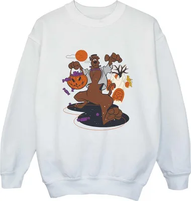 Obrázek produktu pro Scooby Doo - Mikina pro chlapce BI56680 (104) (Bílá)