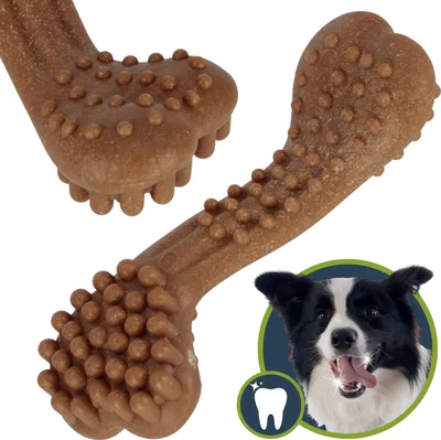 Produktbild von Hundespielzeug, NATÜRLICHER KNOCHEN zum Kauen, Beißring, Kausnack 17 cm