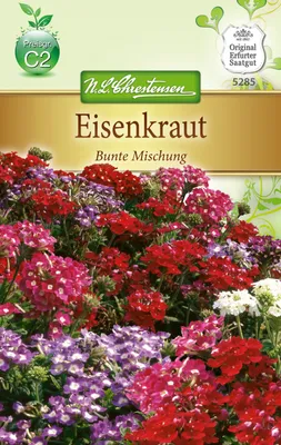Produktbild von Chrestensen Eisenkraut 'Bunte Mischung