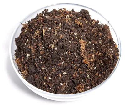 Obrázok produktu pre Gardners Kokedama Mix - L, 700 g
