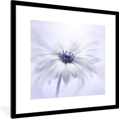 Produktbild von MuchoWow® Gerahmtes Poster Blume - Abstrakt - Weiß 40x40 cm - Poster mit Schwarzem Bilderrahmen Wandposter Rahmen Foto Bilder - Poster - Plakat im Rahmen