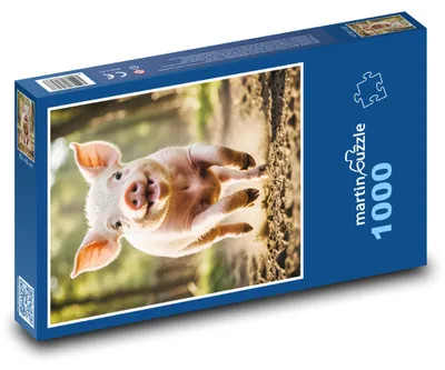Zdjęcie produktu dla Puzzle 1000 Radosne prosiątko w lesie - martinpuzzle