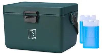 A green cooler box with two blue ice packs next to it, on a white background.