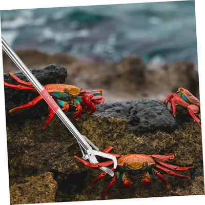 Produktbild von Rutschfeste Edelstahl-Krabbenzange mit gezahnter Klemme, multifunktional für Aale und Schmerlen sowie als Greifwerkzeug für Reptilien und Amphibien