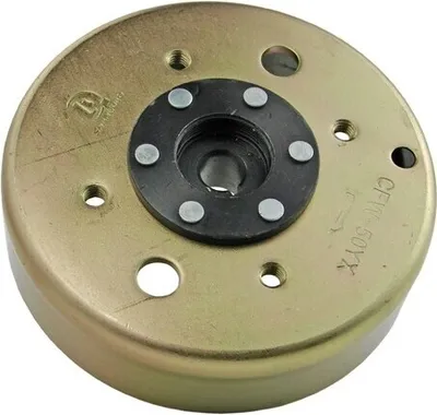 Produktbild von GY6 Polrad kompatibel mit Motortyp 139QMB / 139QMA