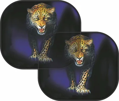 Obrázek produktu pro COMPASS Clona sluneční na boční okno LEOPARD 2ks 06107