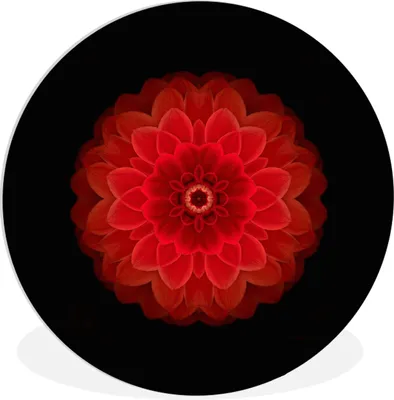 Produktbild von MuchoWow® Rundes Wandbild - Runde Bilder Orangefarbenes Dahlienmandala auf schwarzem Hintergrund Ø 30 cm Kreis Wanddekoration Kunststoff - Wandkreis - Wandschmuck - Schlafzimmer - Bilder - Der Kreis - Kunst für die Wohnung - Plastik - Kunstdruck - Wandbild