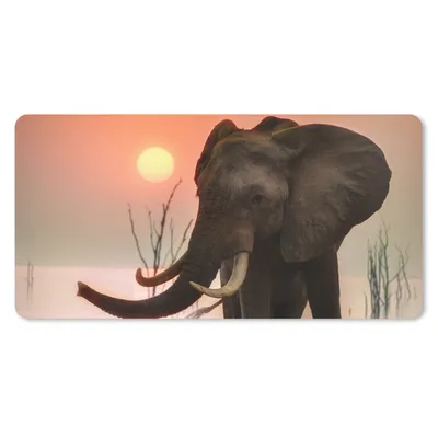 Produktbild von MuchoWow® Mauspad Mousepad Elefant - Tiere - Wasser - Sonnenuntergang 60x30 cm - Mousepads - Maus Mat - Pad - Mausunterlage - Nachhaltig