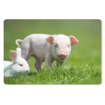 Produktbild von MuchoWow® Schreibtischunterlage Ferkel - Kaninchen - Tiere 60x40 cm - XXL Mauspad - Großes Mauspad