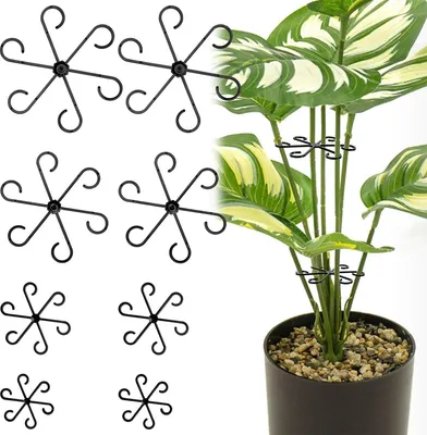 Produktbild von 2er Set Pflanzenstützen für Monstera, transparente Pflanzenhalter mit 4 Größen zur Stabilisierung