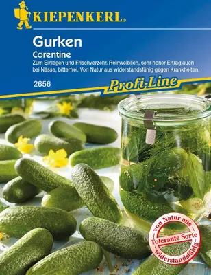 Produktbild von [STREICHUNG 2024] Einlegegurke Corentine | Einlegegurkensamen von Kiepenkerl