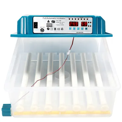 Image de Incubateur TolleTour Incubateur numérique Incubateur à plateau avec écran LCD Système de retournement + contrôle de la température pour poulets, oies, canards, pigeons, cailles, oiseaux 36 œufs Vert