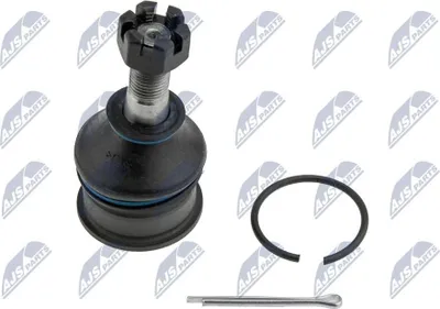 Produktbild von NTY Traggelenk Vorne Unten Vorne Links Vorne Rechts für NISSAN MICRA II (K11) ZSD-NS-018