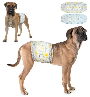 Hundenwindeln für Rüden, 48 St., L (63-80 cm), superabsorbierend