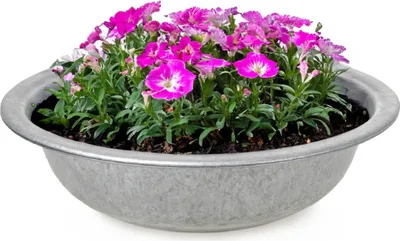 Immagine prodotto di Vasca in zinco Ciotola in zinco come fioriera rotonda Ciotola decorativa 35 x 9,5 cm