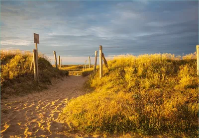 Produktbild von Wallario Fototapete Vliestapete, seidenmatte Oberfläche, einfache Verarbeitung, Größe 300 x 210 cm, Motiv Düne am Strand bei Sonnenuntergang in Frankreich