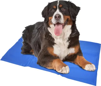 Produktbild von Selbstkühlende blaue XXL Kühlmatte 120 x 80 cm für Hunde