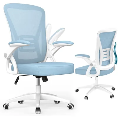 Image de Chaise de bureau ergonomique – dossier en maille respirante, soutien lombaire intégré, accoudoirs rabattables à 90°, Bleu